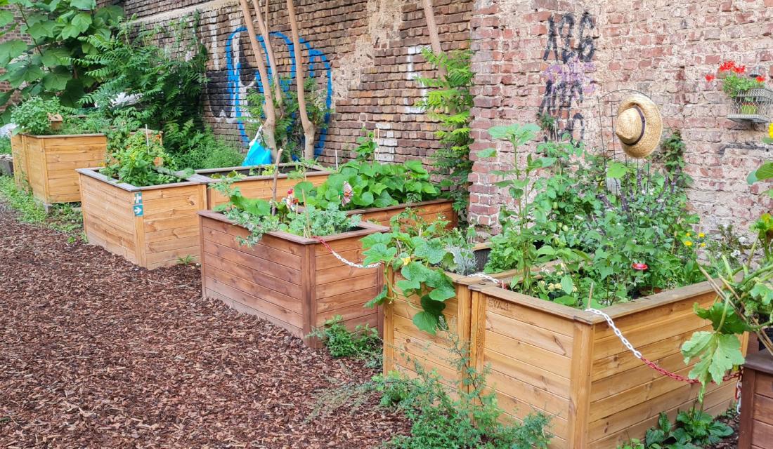 Gemeinschaftsgarten Schmitzundkunzt. Auf dem Bild sind bepflanzte Hochbeete zu sehen.