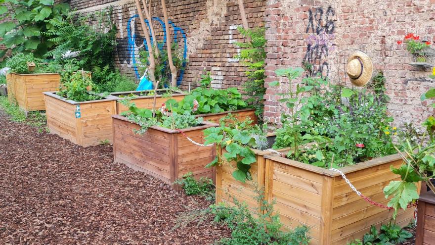 Gemeinschaftsgarten Schmitzundkunzt. Auf dem Bild sind bepflanzte Hochbeete zu sehen.